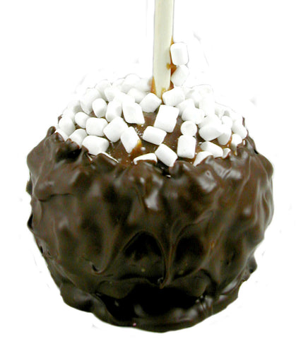 Chocolate Covered Marshmallow