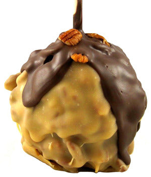 Chocolate Pecan Praline